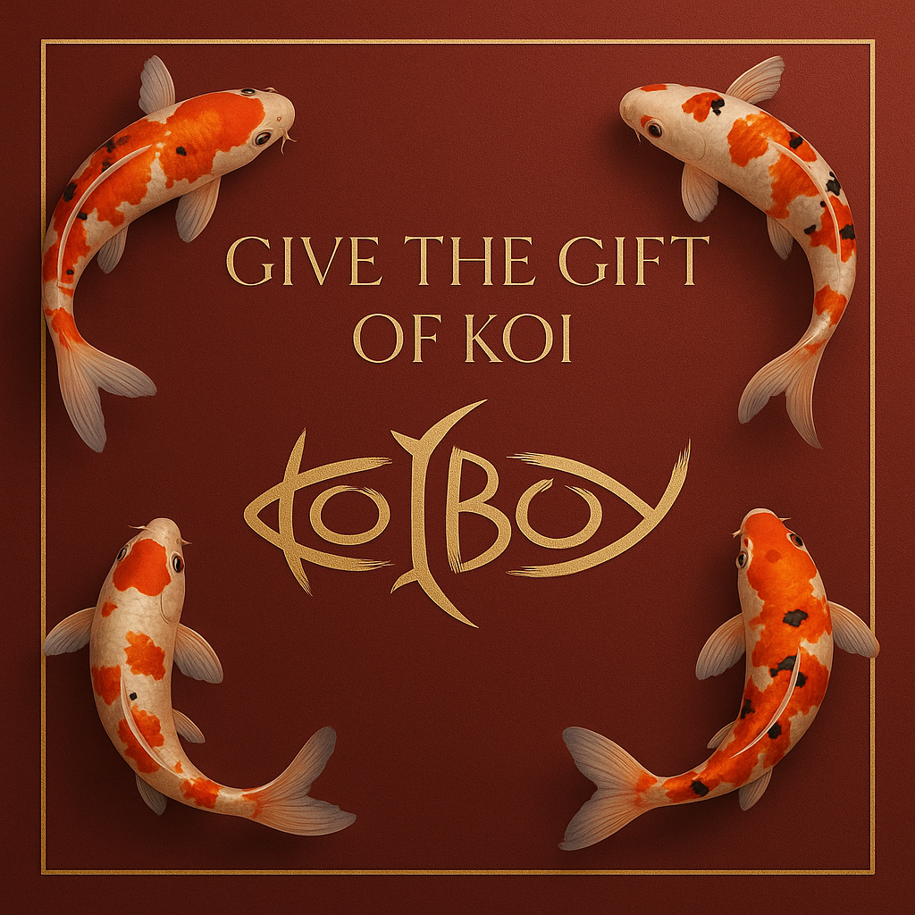 Koi Boy Gift Card