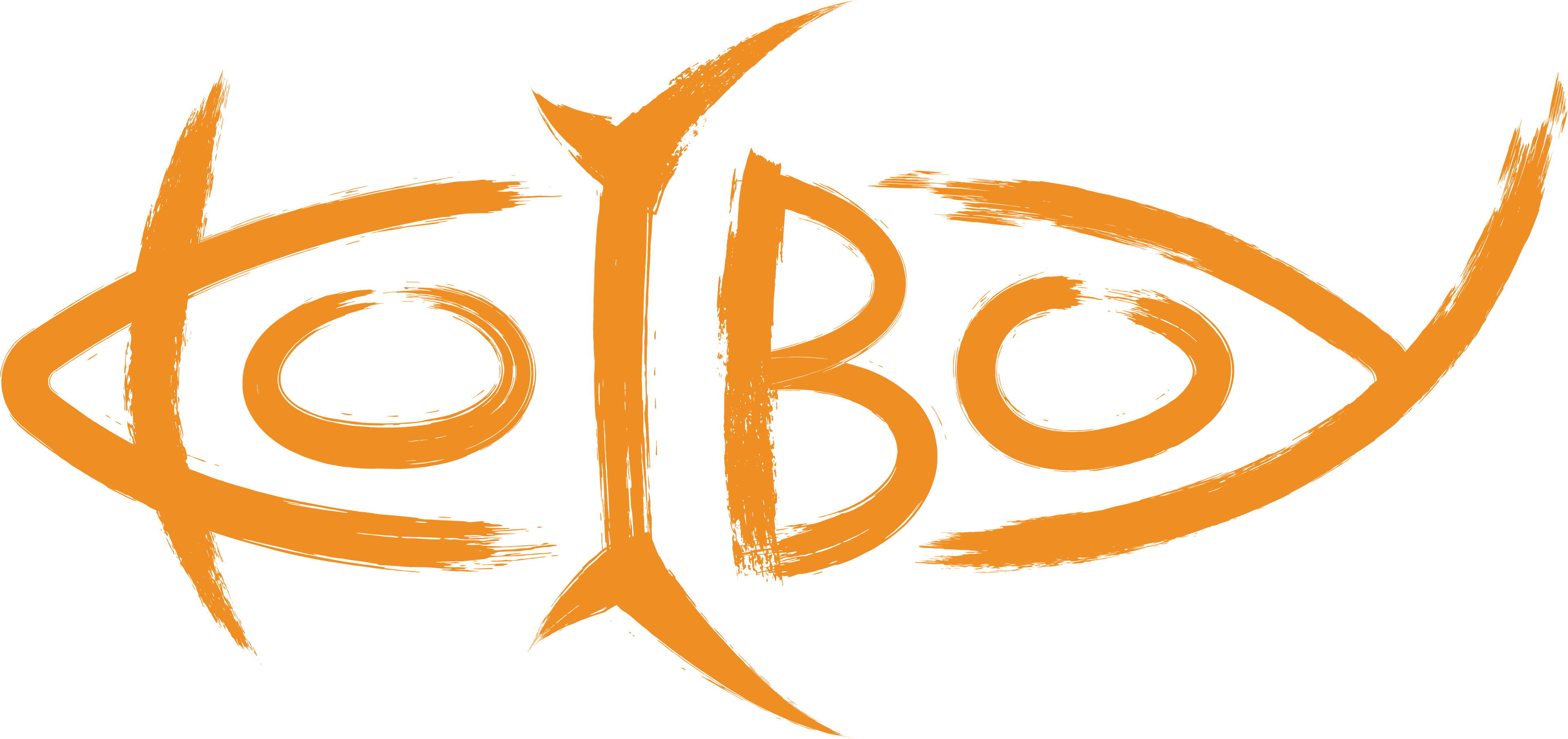 The Koi Boy